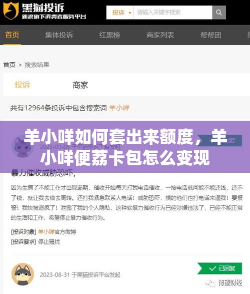 羊小咩如何套出来额度，羊小咩便荔卡包怎么变现