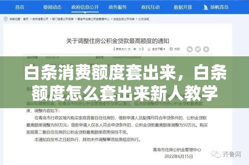 白条消费额度套出来，白条额度怎么套出来新人教学实操