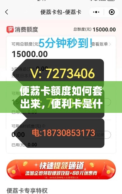 便荔卡额度如何套出来，便利卡是什么意思