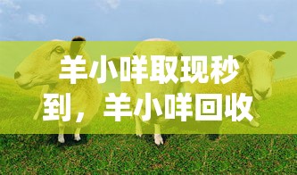 羊小咩取现秒到，羊小咩回收商家秒到