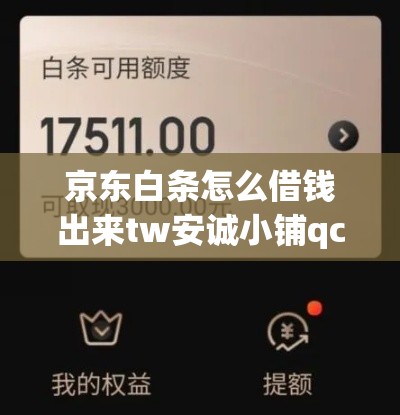 京东白条怎么借钱出来tw安诚小铺qc助富掌柜，京东白条怎么借钱出来