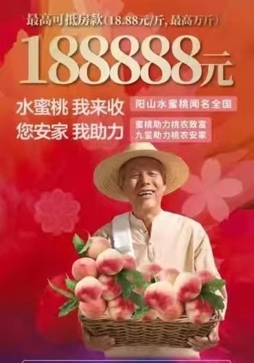 桃桃买房教程视频，桃买买取现秒到