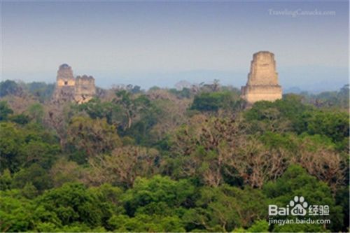 最牛痴汉在中国排名第几,最牛痴汉在中国