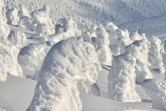 最牛痴汉在中国排名第几,最牛痴汉在中国