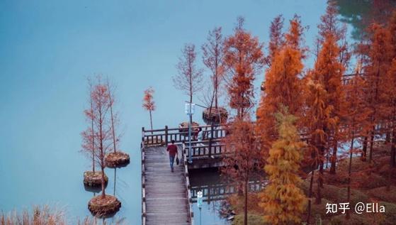世界冬季美丽景点排名前十（冬季世界最热的地方是哪里）