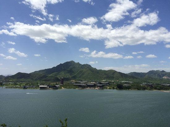 世界小型淡水龟排名前十淡水龟排行榜