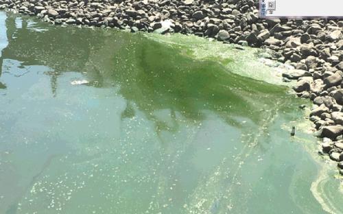 世界品牌素颜霜排名前十,十大品牌素颜霜