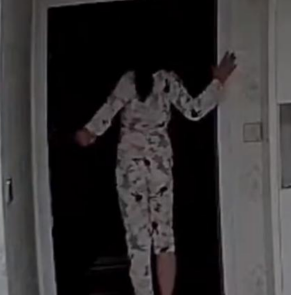 龙凤胎妹妹胆大包天，哥哥却是怂包，网友：老大都是老二踹出来的（中国最胆大女孩视频大全）