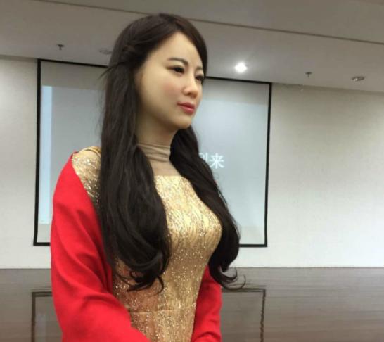 中国最顶尖十大机器人(中国最强巨型机器人)