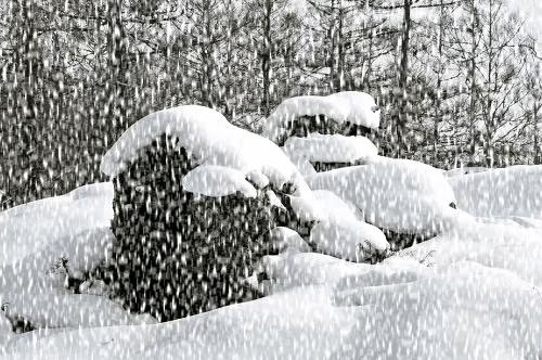 世界上暴雪排名前十的地方,巴菲特重仓股排名第十股：动视暴雪