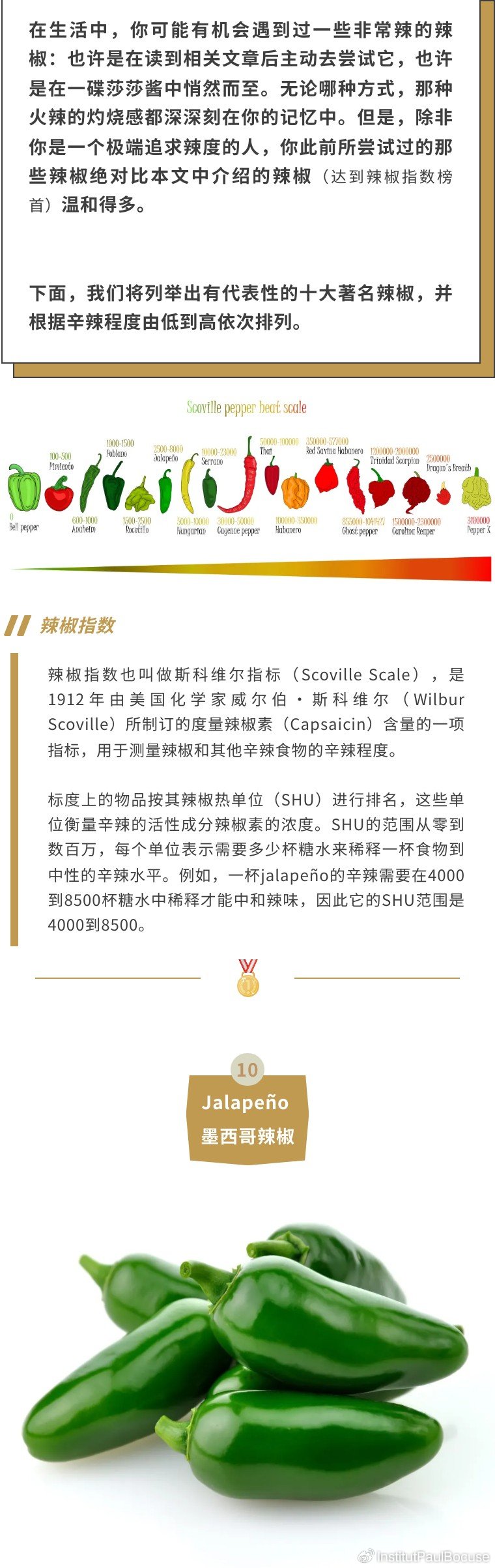 世界十大辣椒品牌排行？世界辣椒辣度排名前50