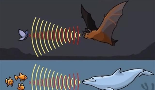 世界上篮球项目排名前十，世界的篮球