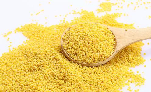 请问什么牌子鱼竿好有便宜全国渔具批发市场哪里最便宜