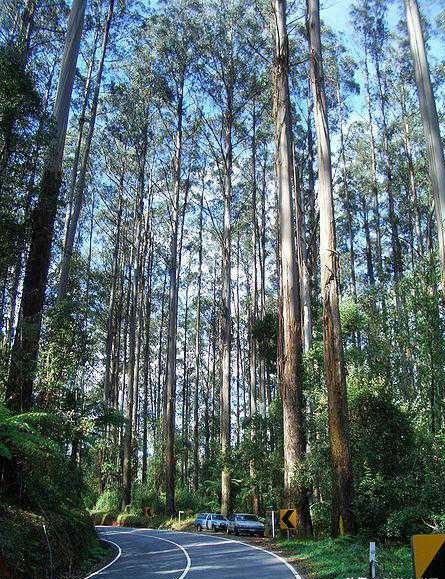 奢侈品世界前十排名品牌，奢侈品排名榜