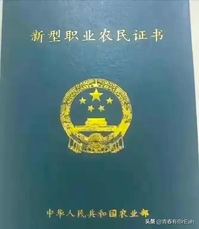 中国最牛证书排名中国最有用的证书排名