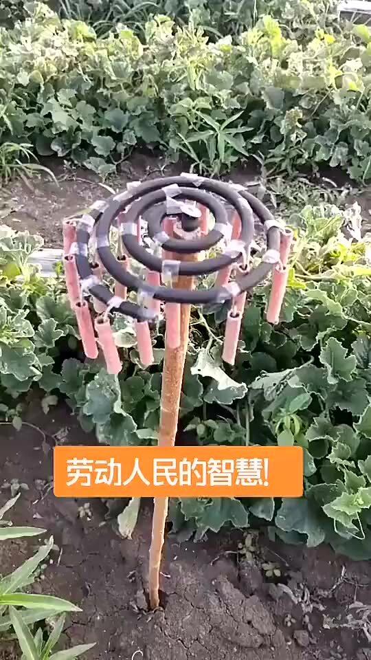 中国最聪明农民,走上联合国讲坛的中国农民