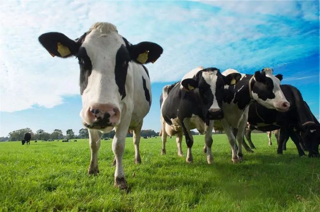 世界上最牛的成功是什么世界上最成功的国家是哪个国家