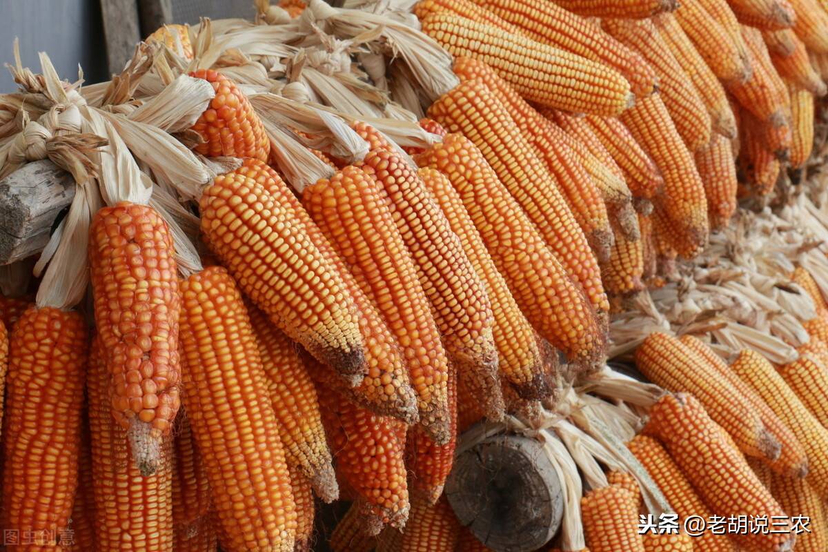 德国刺刀十大排名品牌，德国步枪刺刀