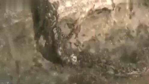 中国最奇妙的怪事视频,至今还有重兵把守的昆仑山，到底隐藏着哪些秘密？