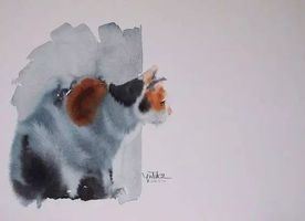 去年中国养子孙,中国最成功养子排名