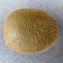 奶粉十大排名，无糖奶粉十大排名