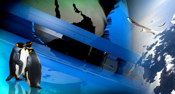 世界上最稀有的小明，全世界最稀有的东西