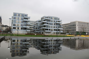 里水初中十大排名学校，里水初中十大排名