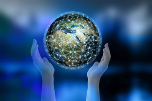 世界上最恶心的首饰，世界上十大最恶心的东西