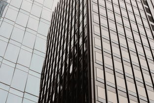 烟道吊顶十大排名，烟道吊顶十大排名品牌