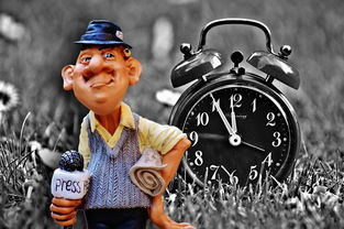 世界上最鬼畜的题，世界上最惨的鬼搞笑视频