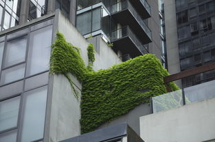 门窗十大品牌有什么朝阳市门窗厂