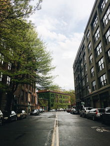 济南除甲醛十大排名公司济南绿城百合花园除甲醛