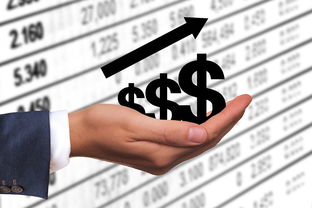 中国有多少黑钱，中国黑钱最严重的人