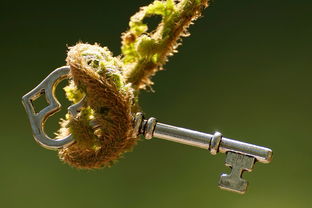 最小的钢钉有几厘米长,世界最小钉子排名榜前十