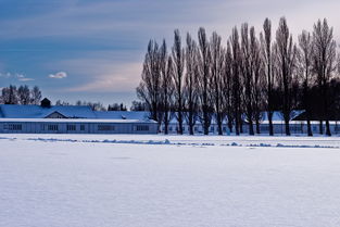 世界上最冷的冰块,世界上最冰冷的事