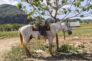 中国最牛的画画,中国最牛的画画家排名