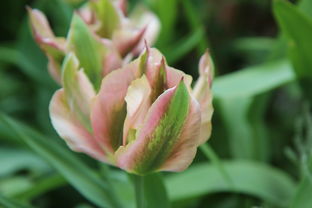 中国母亲最伟大，中国有名的母亲