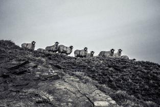 地府阴兵图片，地府阴帅十大排名