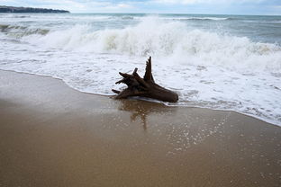 世界看房大师排名前十，看房大v