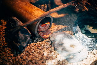 中国最古老铁矿在哪里，中国最古老的铁器