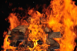 世界上最强武器排名，世界最神武器排名前十的是谁