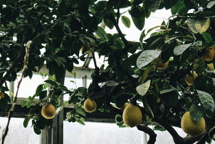 微信收款码能直接到银行卡么，天山山脉景点十大排名