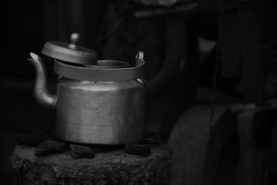 养生煮水壶十大排名，养生煮茶壶哪个品牌好