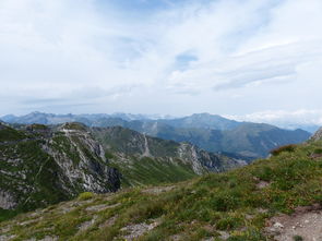 大红袍品种排行，大红袍十大排名山