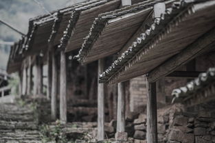 中国农村小院图片大全，中国最实用农村小院