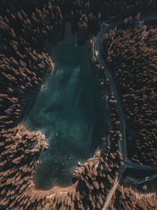 世界上令人惊讶的事，世界上最惊叹的景象