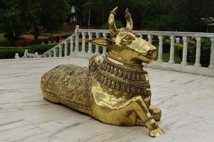 中国最牛跳绳人排名，中国最牛跳绳人