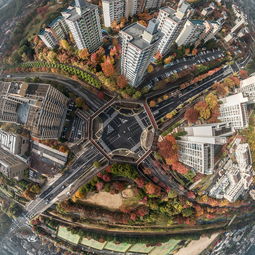 世界上最倾斜的楼，世界上最倾斜的建筑