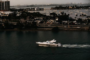 世界航母游艇排名前十大，航母艘数世界排名