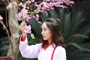 快看古代漫画，快看漫画十大排名古装